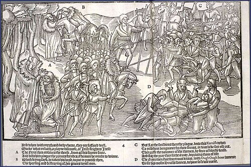 Tudor conquest of Ireland